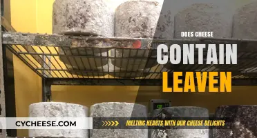 Does Cheese Contain Leaven? Unraveling the Truth Behind Fermentation