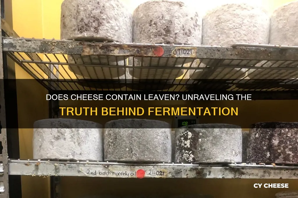 does cheese contain leaven