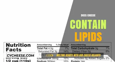 Does Cheese Contain Lipids? Uncovering the Truth About Cheese's Fat Content