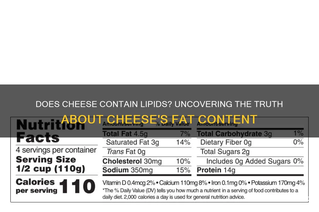 does cheese contain lipids