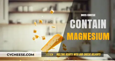 Cheese and Magnesium: Uncovering the Nutrient Content in Dairy
