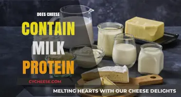 Does Cheese Contain Milk Protein? Unraveling Dairy's Nutritional Secrets