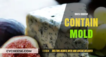 Is Mold in Cheese Safe? Uncovering the Truth About Cheese Production