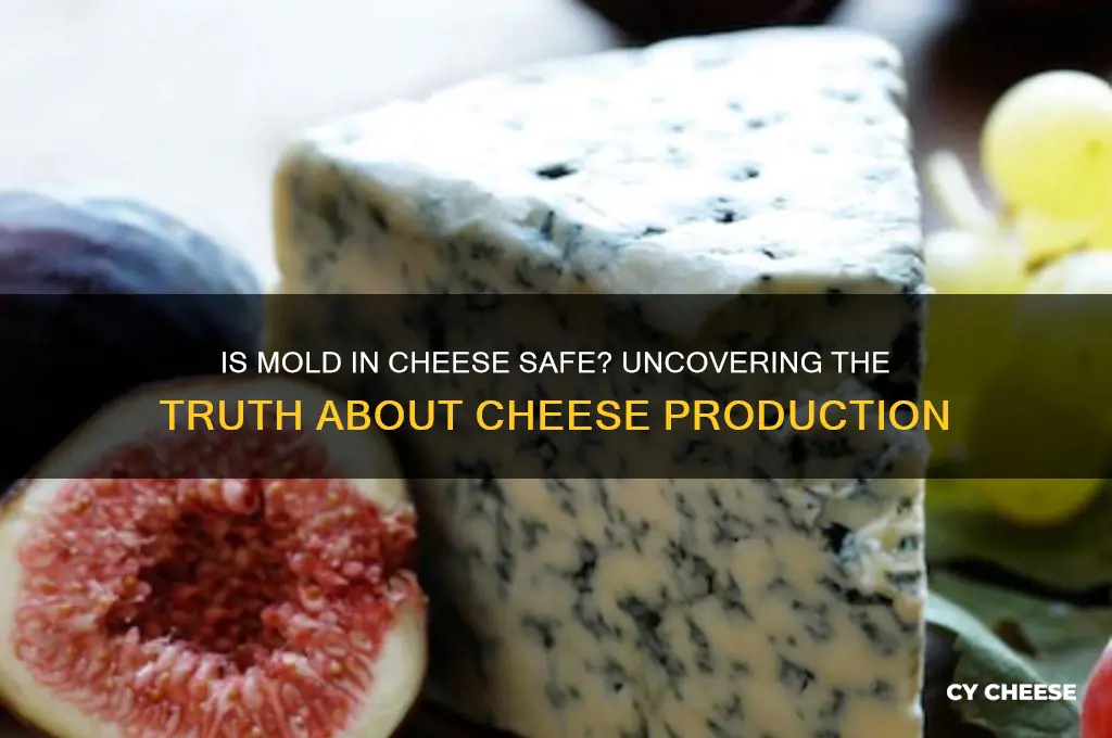 does cheese contain mold