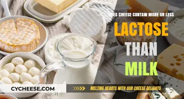 Cheese vs. Milk: Which Has More Lactose? Uncovering the Truth