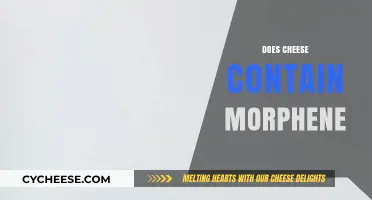 Does Cheese Contain Morphine? Unraveling the Myth Behind Dairy's Effects