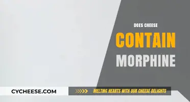 Does Cheese Contain Morphine? Unraveling the Myth Behind Dairy's Addiction