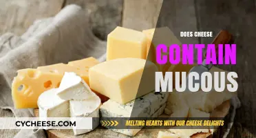 Does Cheese Cause Mucus? Separating Fact from Fiction in Dairy