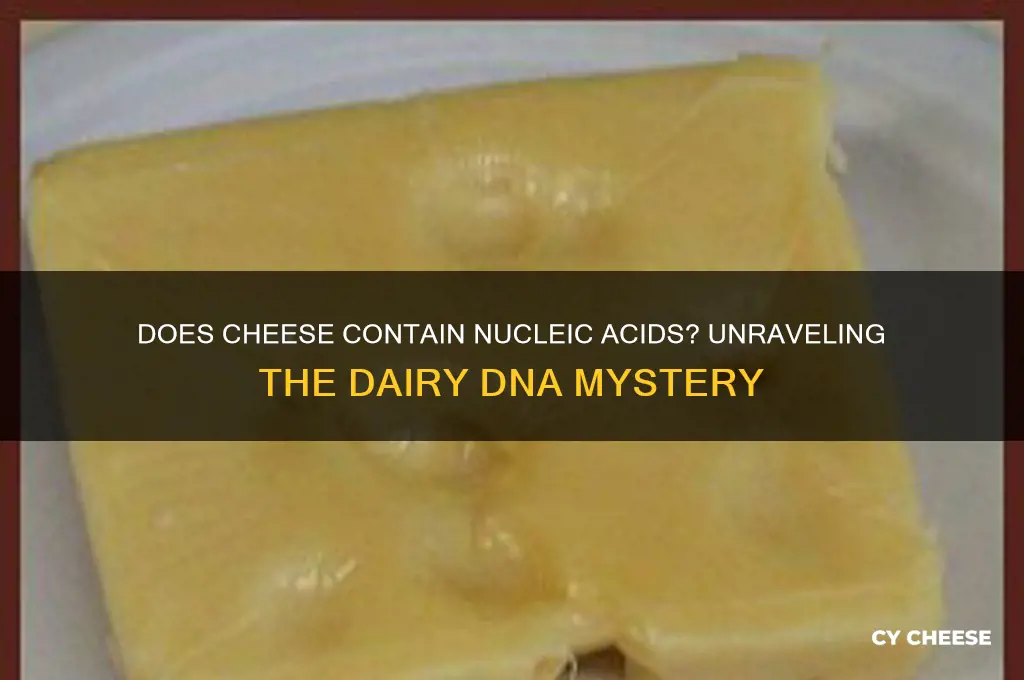does cheese contain nucleic acids