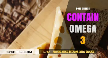 Does Cheese Contain Omega-3? Uncovering the Truth About Dairy Fats