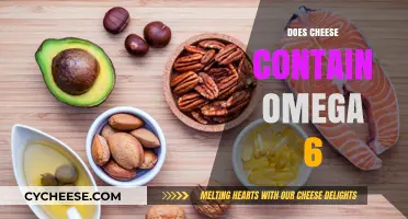 Does Cheese Contain Omega-6? Uncovering the Fatty Acid Truth