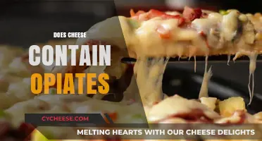 Does Cheese Contain Opiates? Unraveling the Myth Behind Dairy's Effects