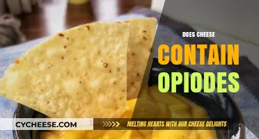 Cheese and Opioids: Unraveling the Myth of Dairy's Hidden Compounds