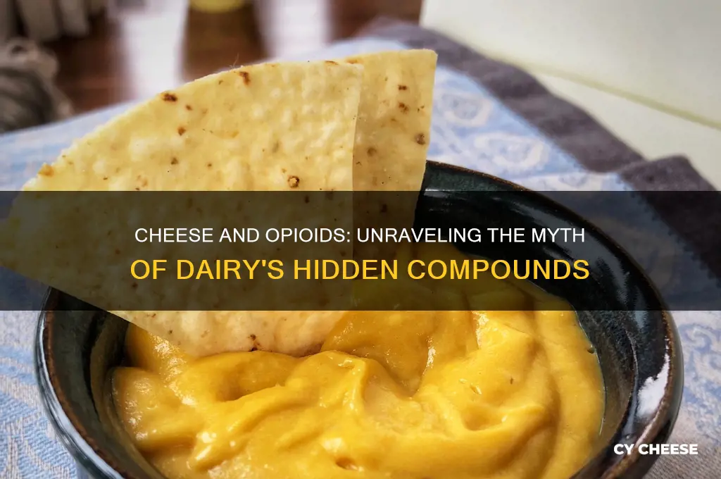 does cheese contain opiodes