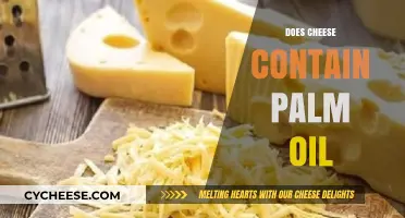 Does Cheese Contain Palm Oil? Uncovering Hidden Ingredients in Your Dairy
