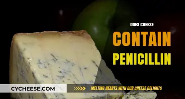 Does Cheese Contain Penicillin? Unraveling the Myth and Facts