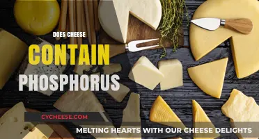 Does Cheese Contain Phosphorus? Uncovering the Nutritional Facts