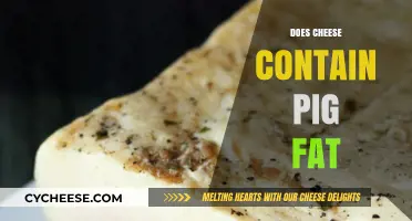 Does Cheese Contain Pig Fat? Uncovering the Truth About Ingredients
