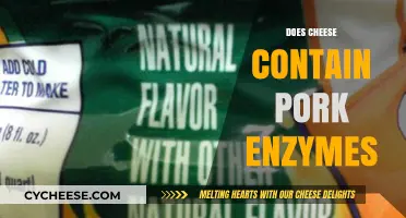 Does Cheese Contain Pork Enzymes? Uncovering the Truth for Dietary Needs