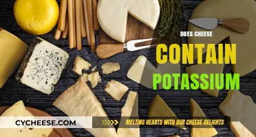 Cheese and Potassium: Uncovering the Nutrient Content in Your Favorite Dairy