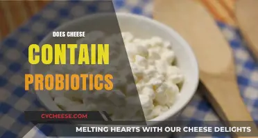 Does Cheese Contain Probiotics? Uncovering the Truth About Fermented Dairy