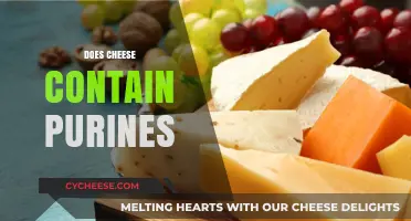 Does Cheese Contain Purines? Uncovering the Truth for Gout Diets