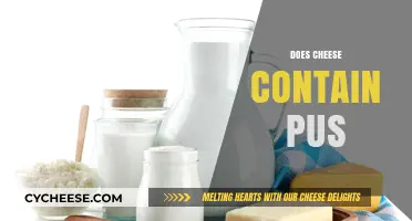 Does Cheese Contain Pus? Unraveling the Truth Behind Dairy Myths