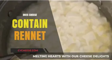 Does Cheese Contain Rennet? Uncovering the Truth Behind Cheese Production