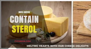 Does Cheese Contain Sterol? Uncovering the Truth About Dairy Fats