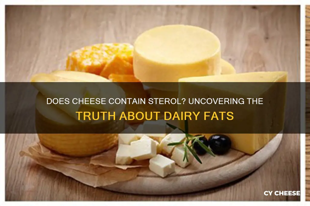 does cheese contain sterol