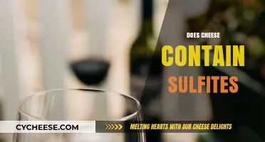 Does Cheese Contain Sulfites? Uncovering the Truth About Additives