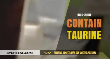 Does Cheese Contain Taurine? Uncovering the Truth About This Nutrient
