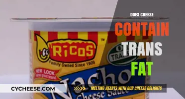 Does Cheese Contain Trans Fat? Uncovering the Truth About Your Favorite Dairy