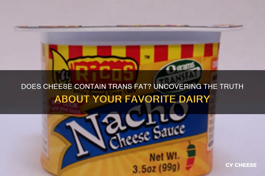 does cheese contain trans fat