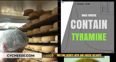 Does Cheese Contain Tyramine? Uncovering the Truth About Tyramine in Cheese