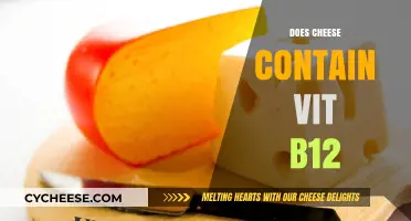 Does Cheese Provide Vitamin B12? Uncovering Nutritional Facts and Benefits