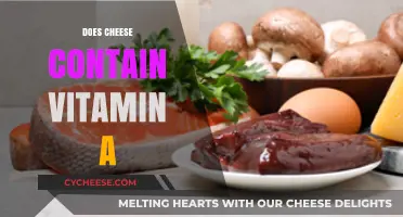 Does Cheese Contain Vitamin A? Uncovering Nutritional Facts