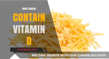 Does Cheese Boost Vitamin D Intake? Uncovering Nutritional Facts