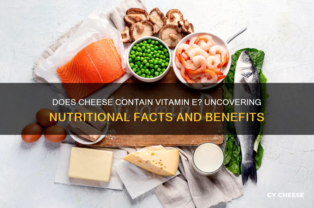 does cheese contain vitamin e