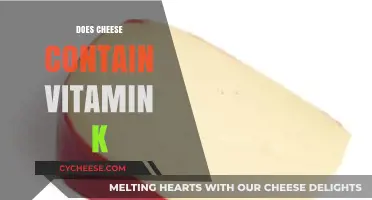 Does Cheese Contain Vitamin K? Uncovering the Nutritional Truth