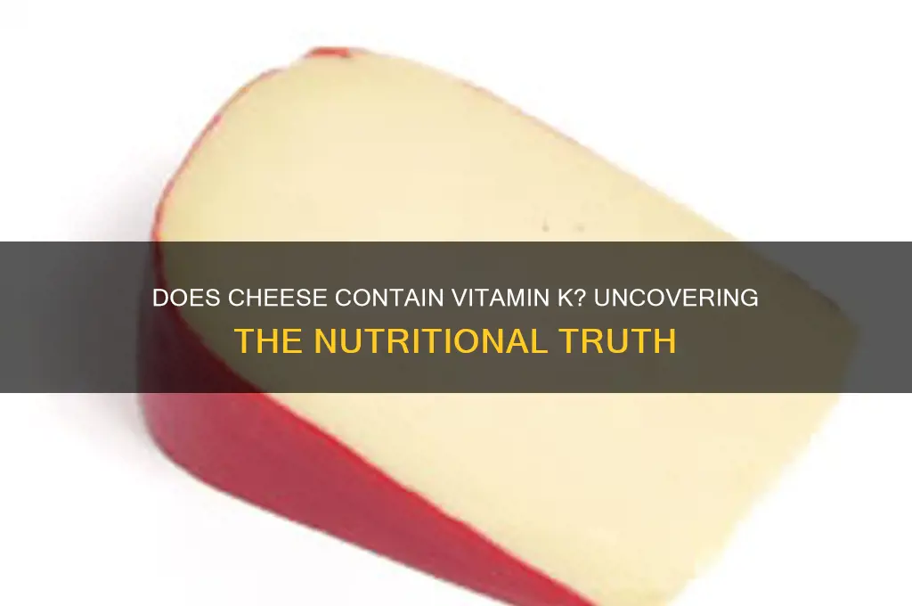 does cheese contain vitamin k