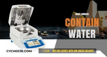 Does Cheese Contain Water? Uncovering the Moisture Mystery in Dairy