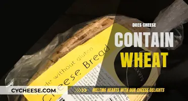 Does Cheese Contain Wheat? Unraveling the Gluten-Free Dairy Dilemma