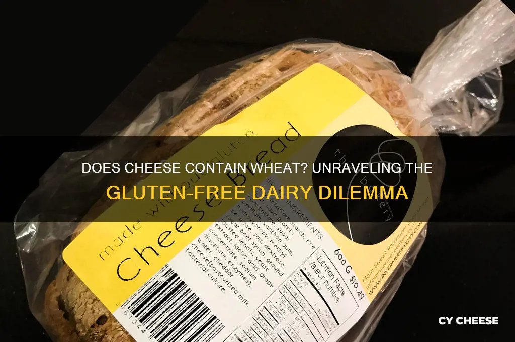 does cheese contain wheat