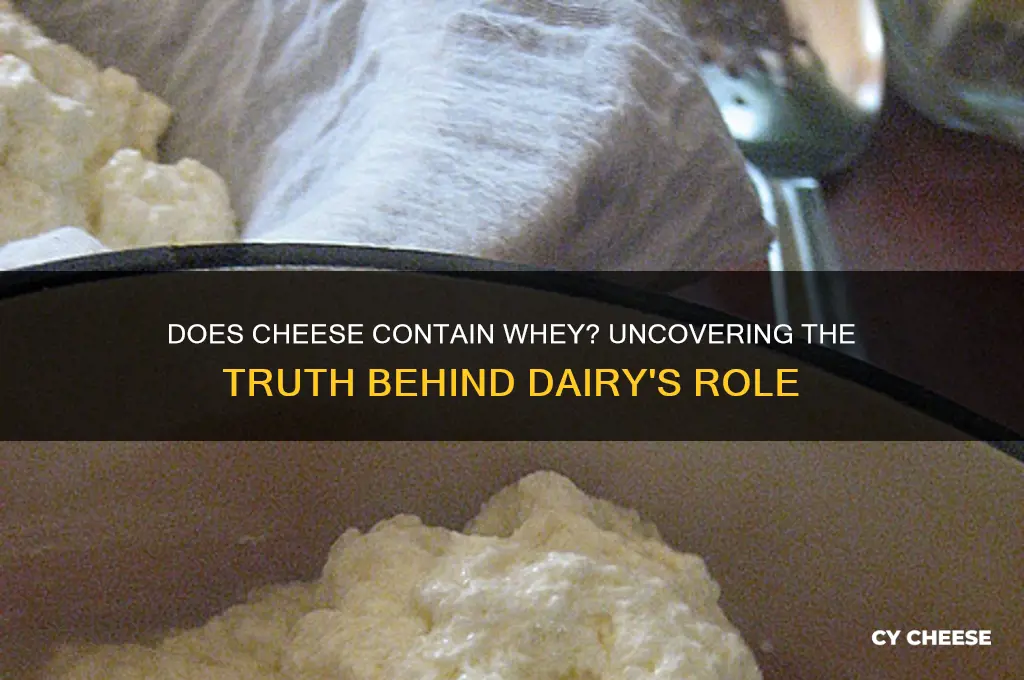 does cheese contain whey