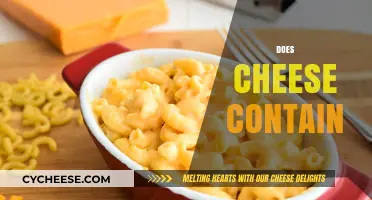 Does Cheese Contain Lactose, Gluten, or Other Common Ingredients?