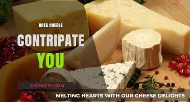 Does Cheese Cause Constipation? Unraveling the Dairy Digestive Dilemma