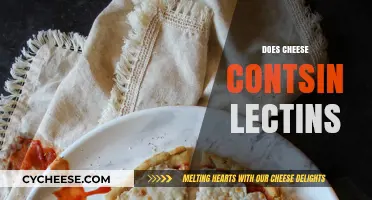 Does Cheese Contain Lectins? Uncovering the Truth About Dairy and Lectins