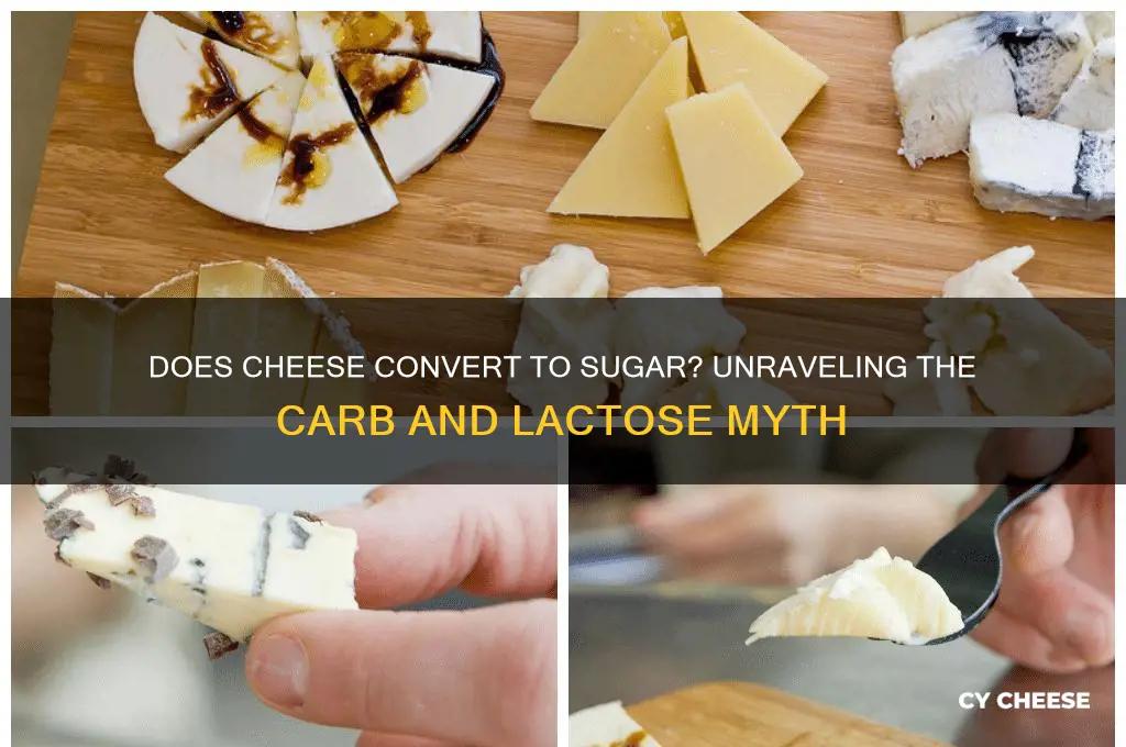 does cheese convert to sugar