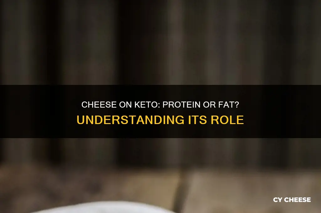 does cheese count as protein or fat in keto diet